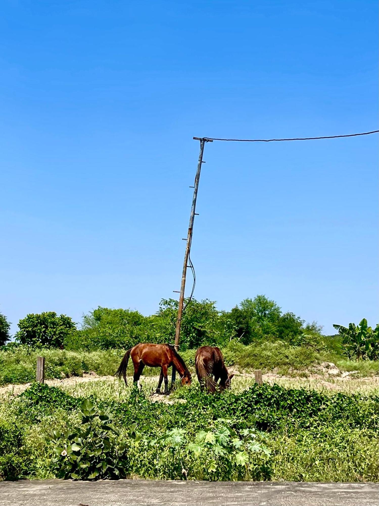 Hotel Tekri Farms And Retreat Ujjain Esterno foto