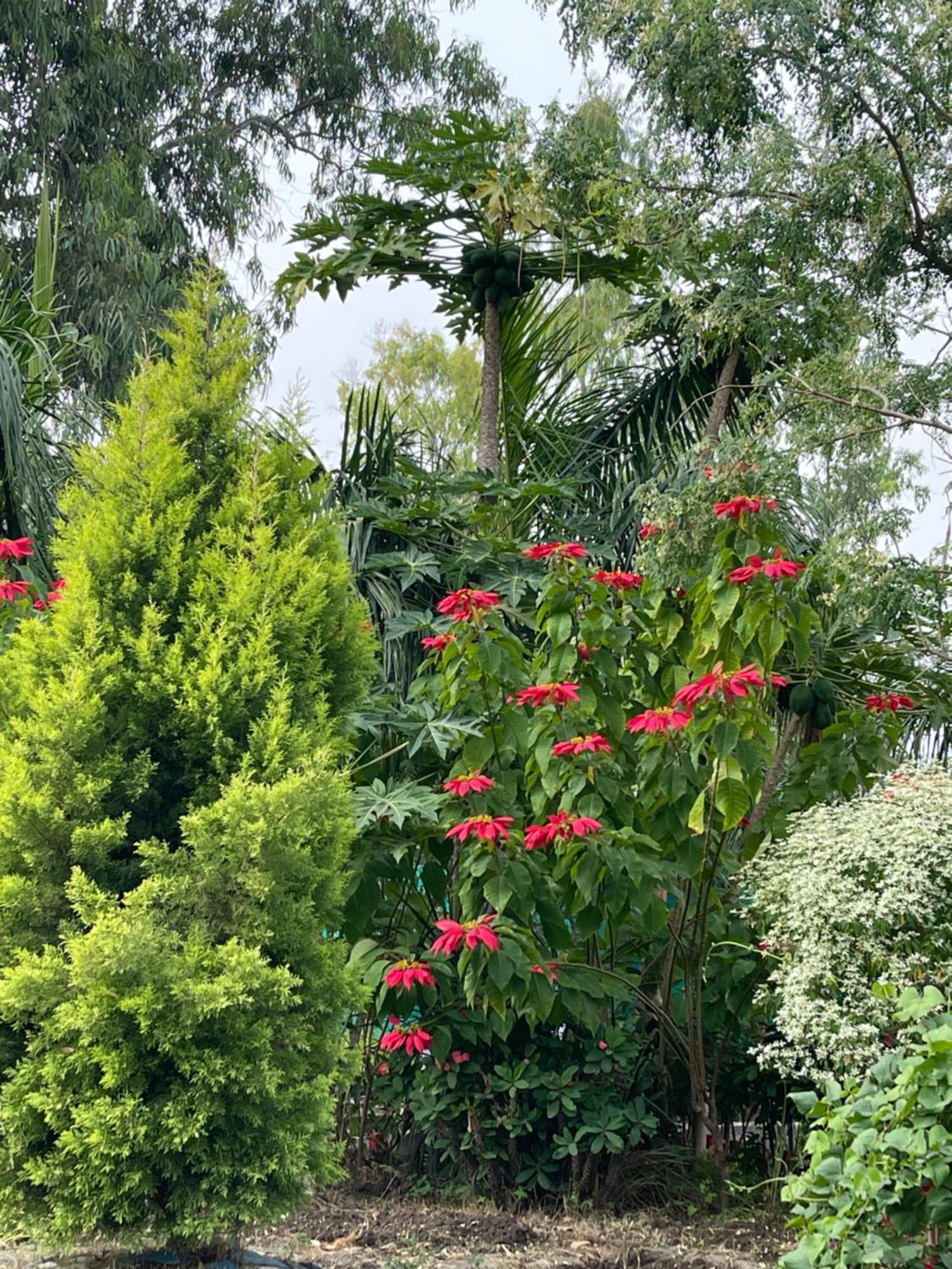 Hotel Tekri Farms And Retreat Ujjain Esterno foto