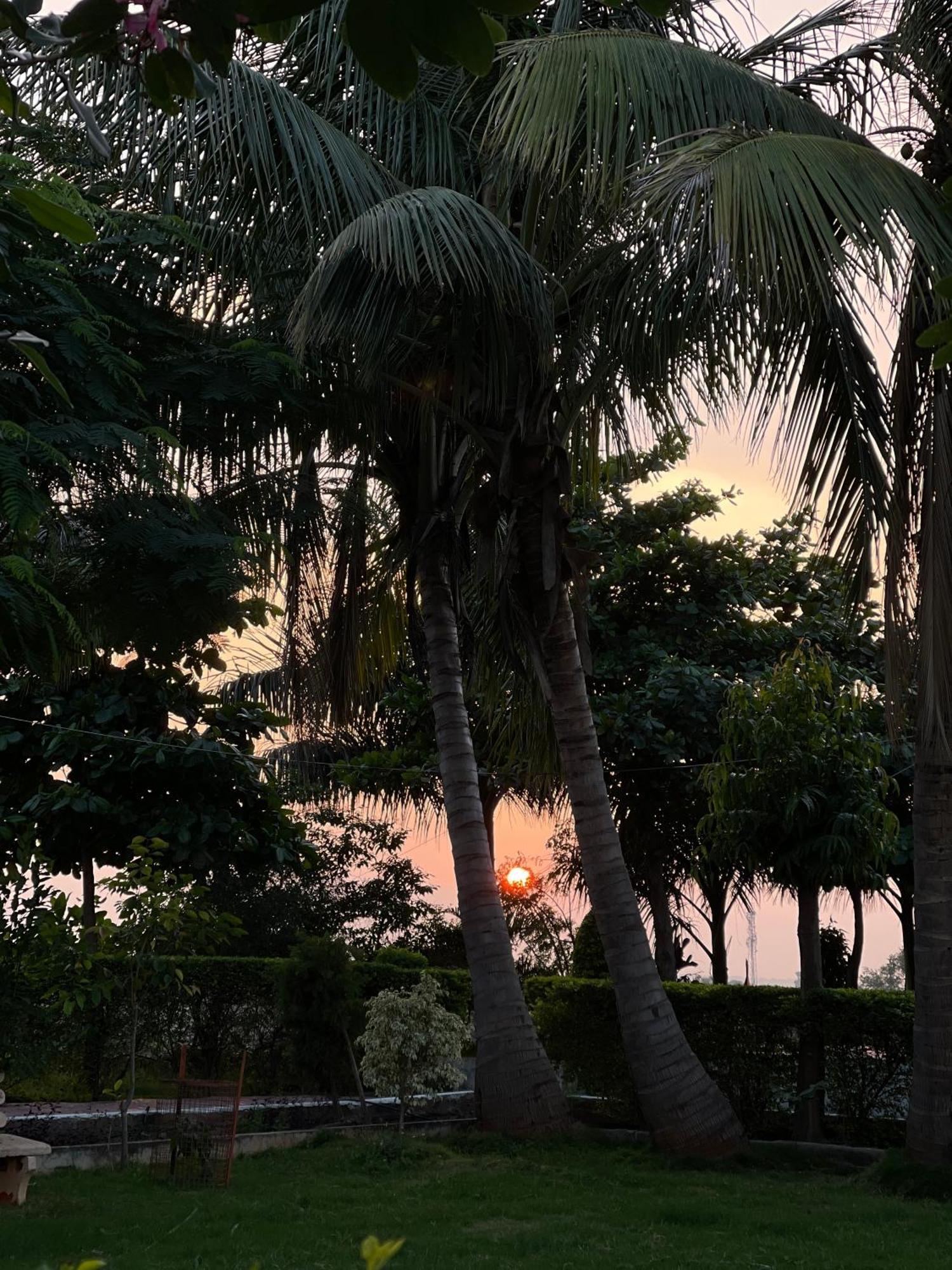 Hotel Tekri Farms And Retreat Ujjain Esterno foto